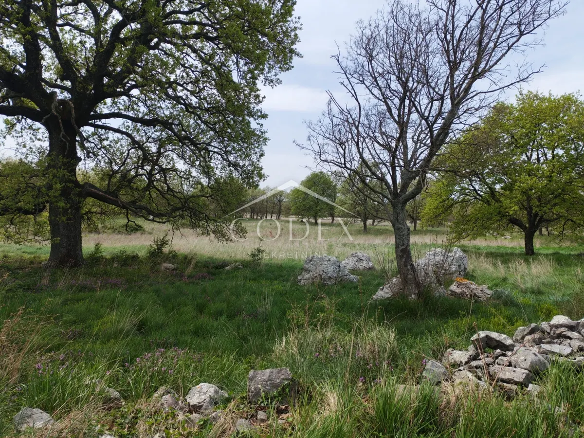 Zemljište - Labin, 11279m2