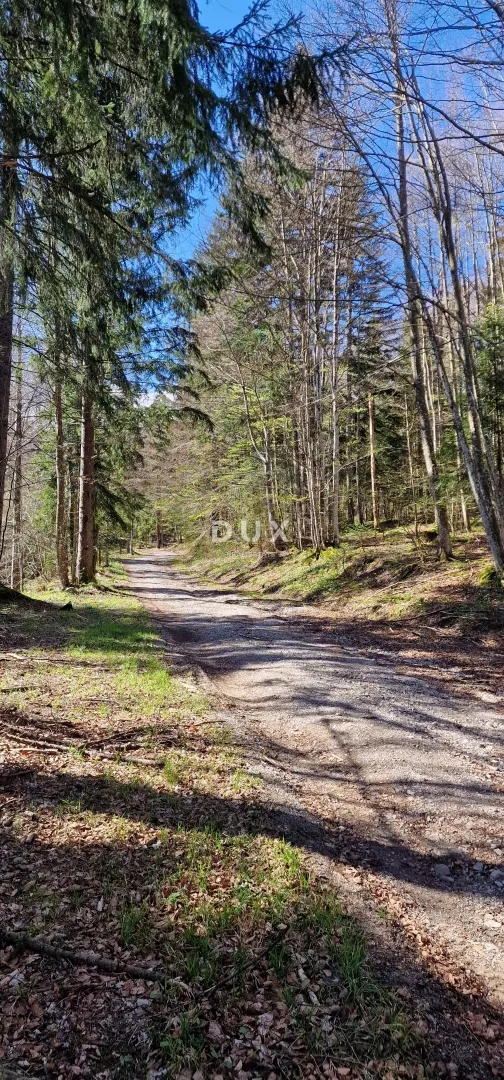 Zemljište - Ravna Gora, 13494m2