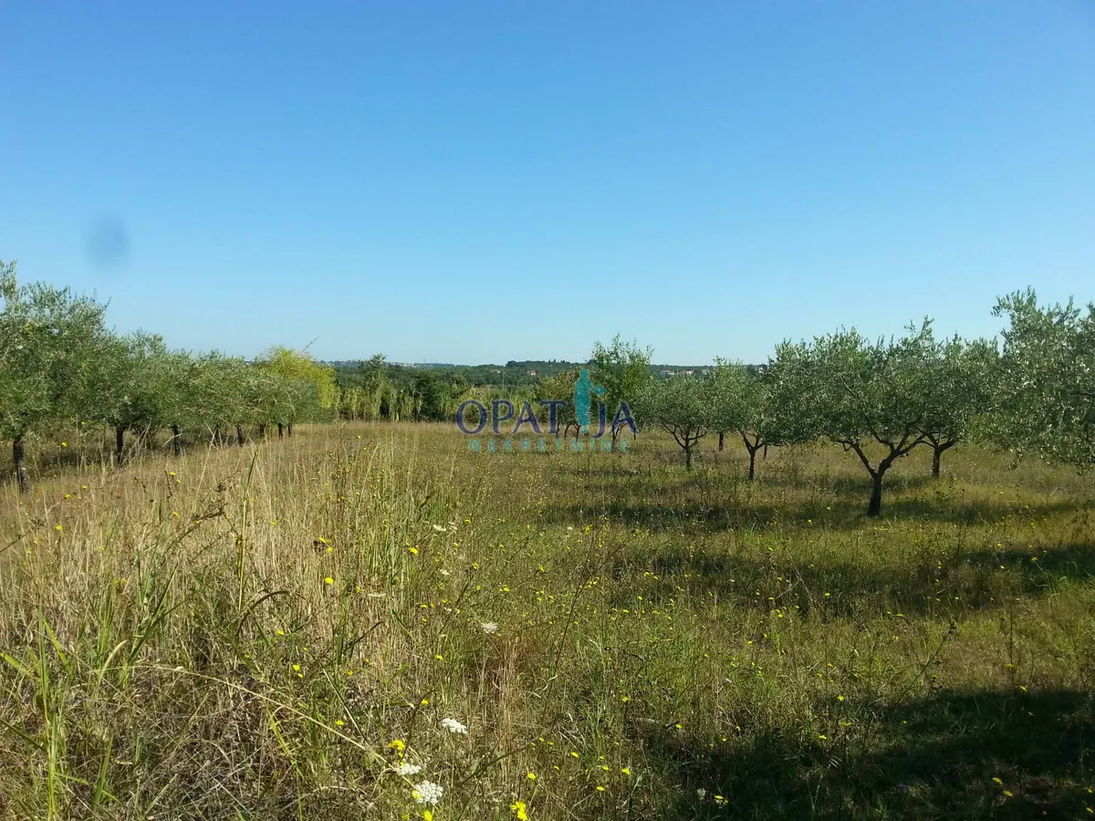 Zemljište - Poreč, 1383m2