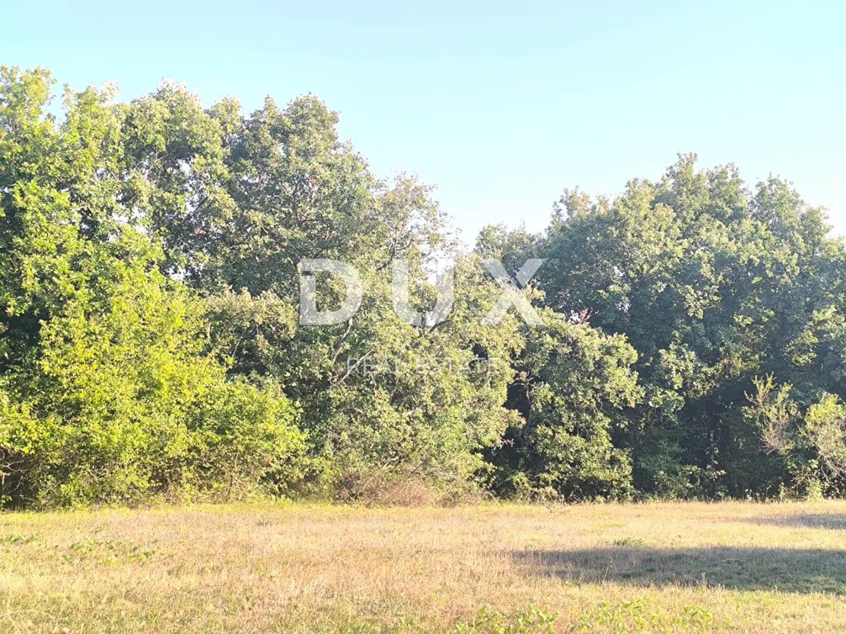 Zemljište - Svetvinčenat, 8000m2