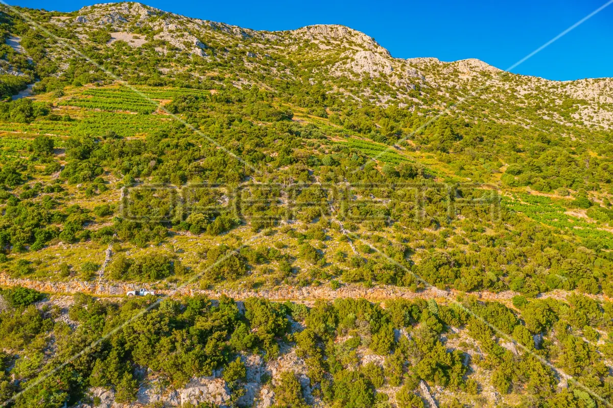 Zemljište - Dingač, Orebić, Orebić, 17346m2