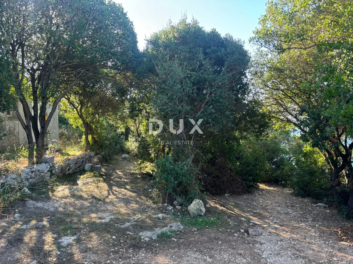 House - Pula, 1745m2