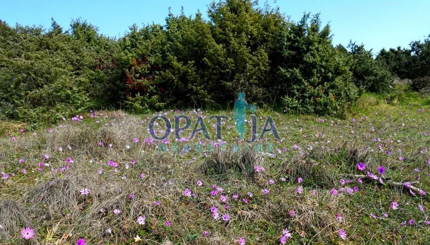 Zemljište - Višnjan, 44600m2