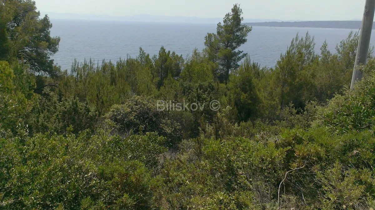 Land - Jelsa, 2195m2