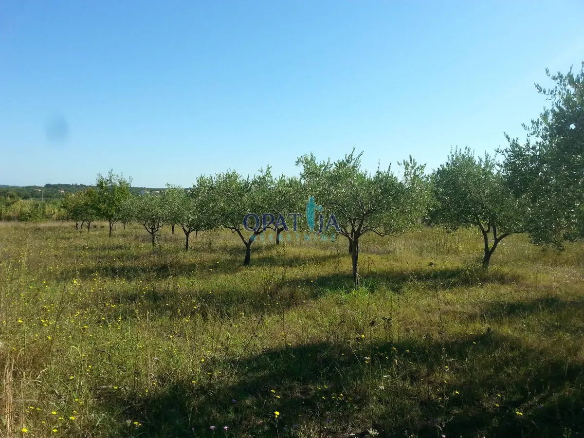 Zemljište - Poreč, 1383m2