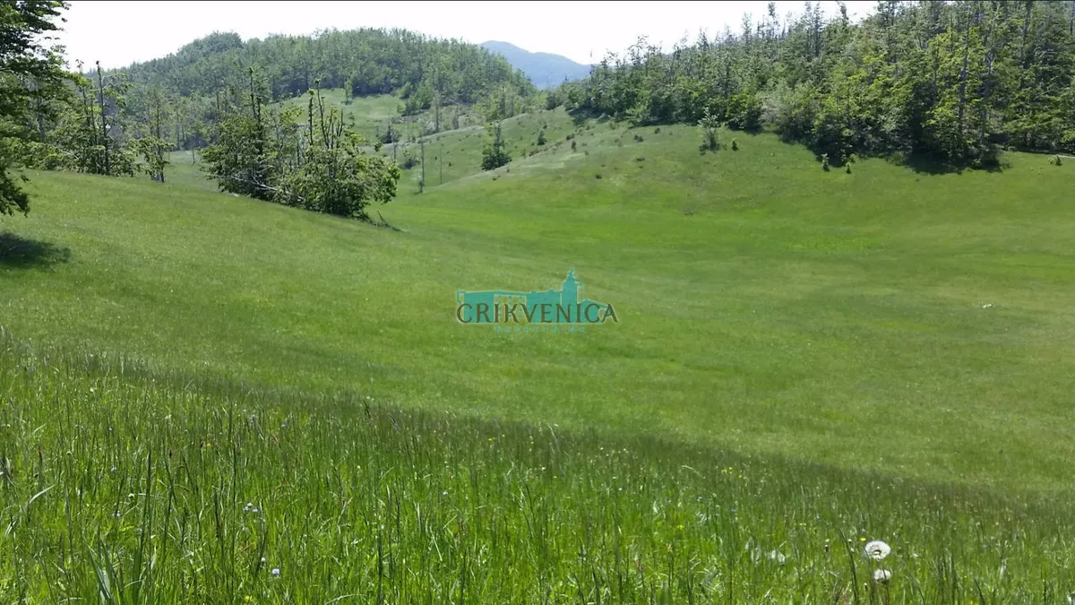 Zemljište - Jelenje, 19000m2