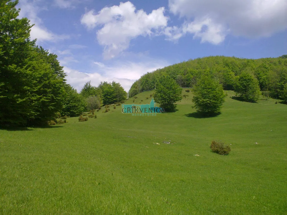 Zemljište - Jelenje, 19000m2