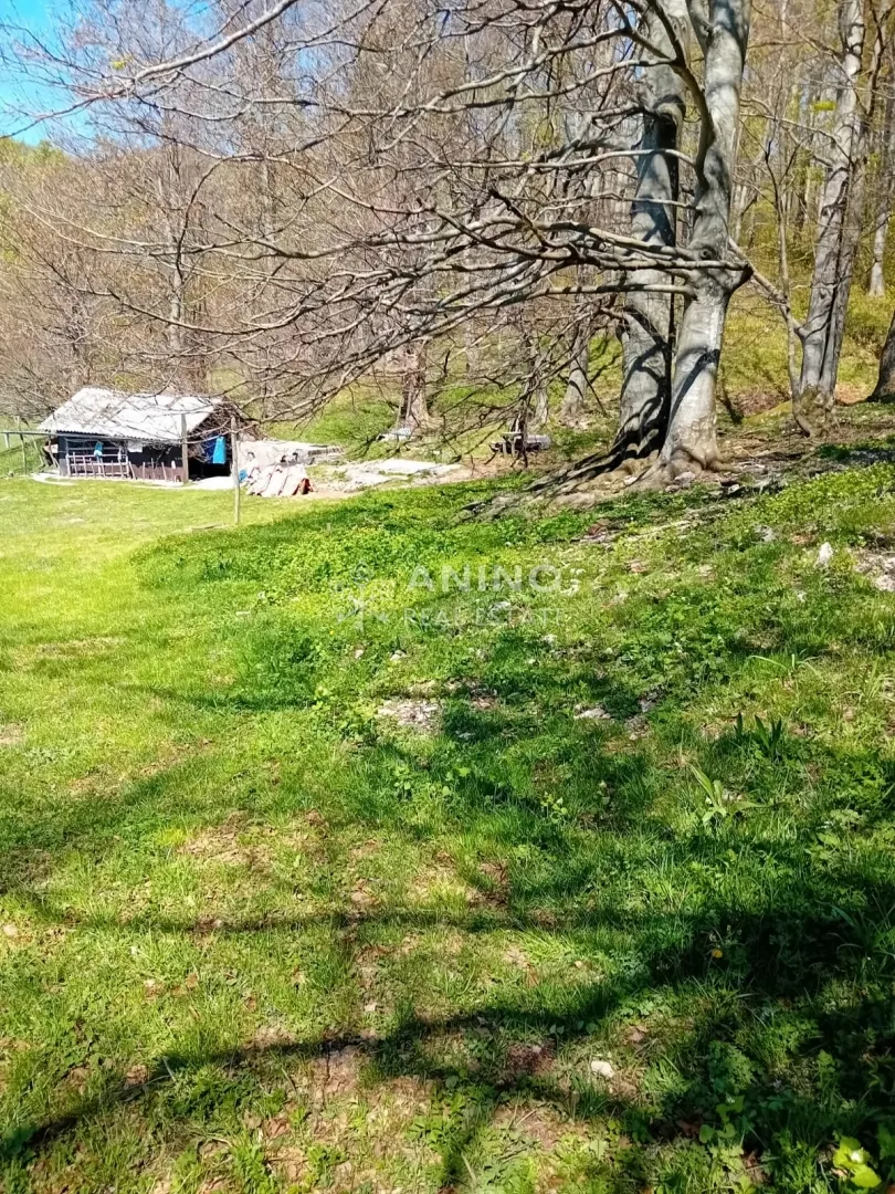 Zemljište - Jelenje, 11570m2