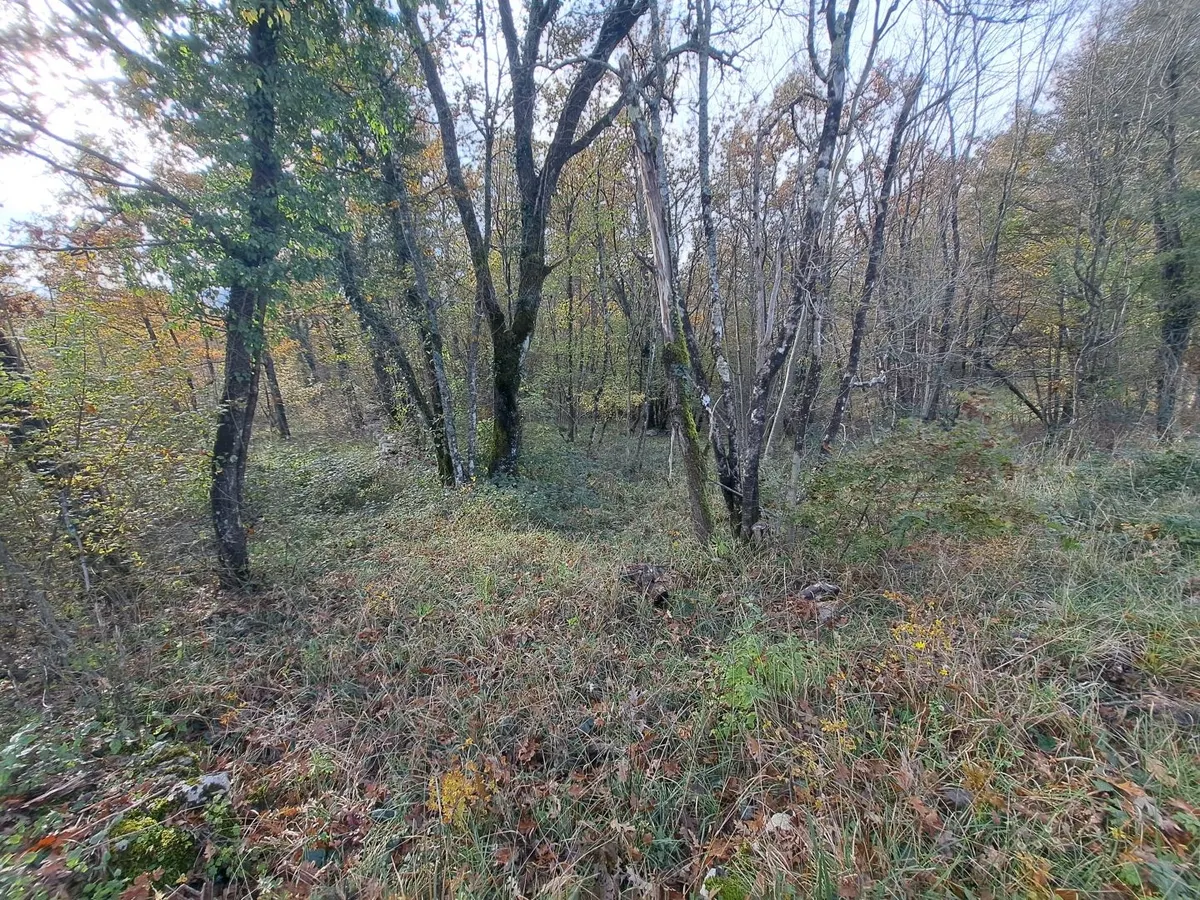 Zemljište - Matulji, 6300m2