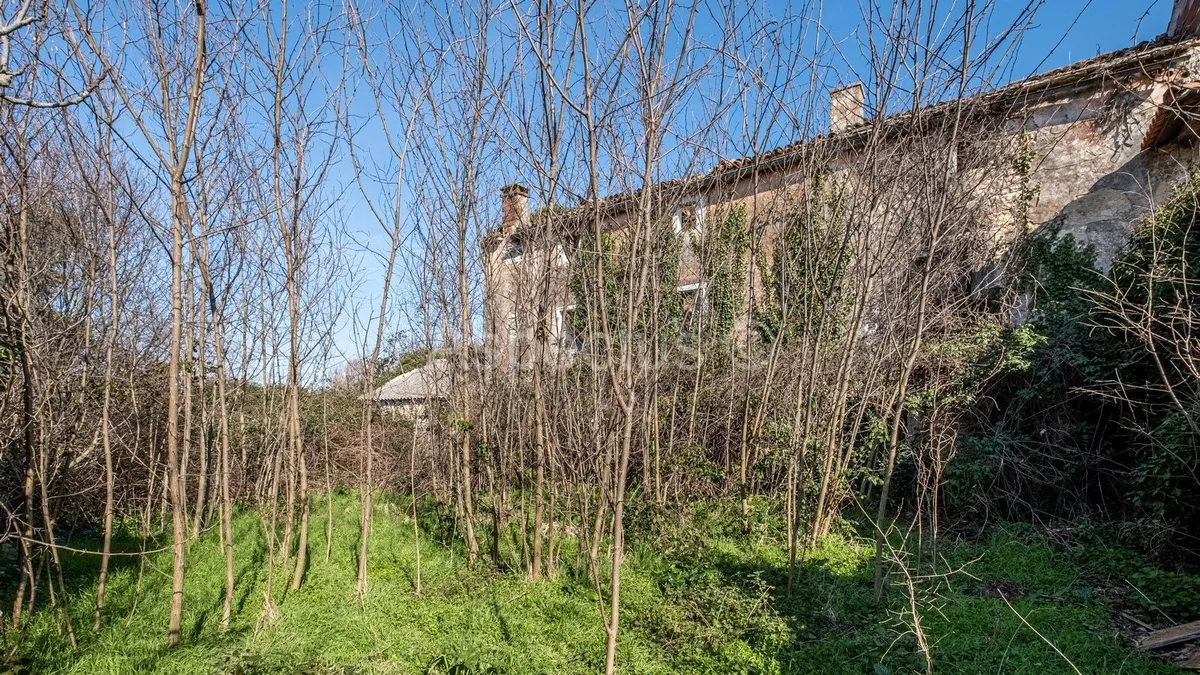 Land - Bale, 7801m2