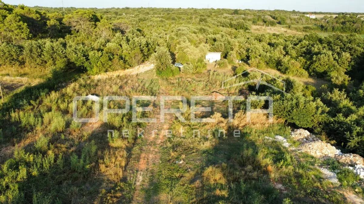Zemljište - Vodnjan, Vodnjan, Vodnjan, 8000m2