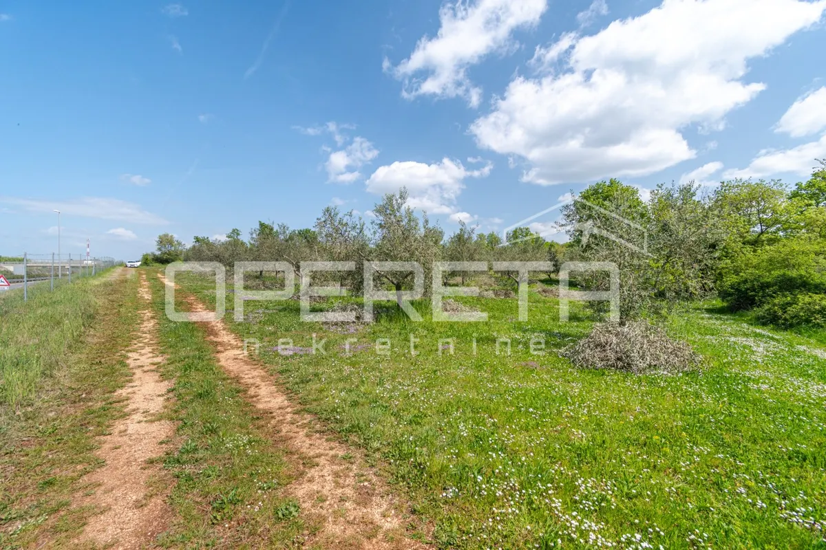 Zemljište - Baderna, Poreč, Poreč, 14180m2