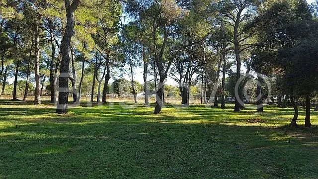 Zemljište - Rovinj, 12058m2