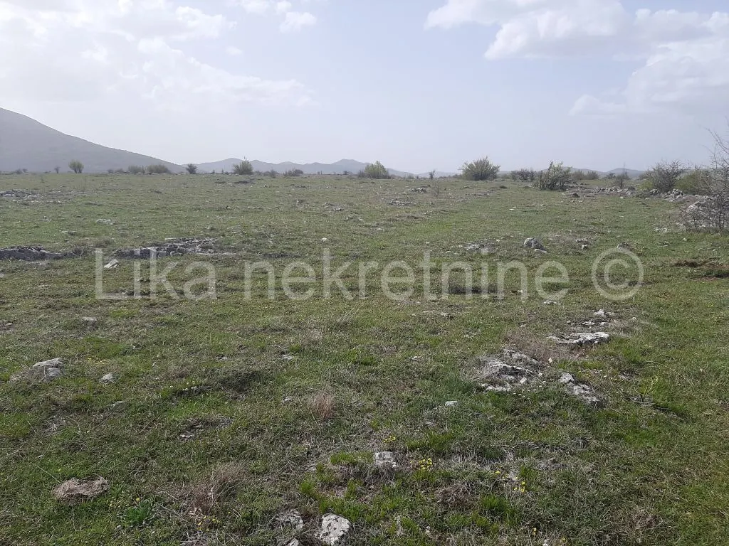 House - Udbina, 250m2