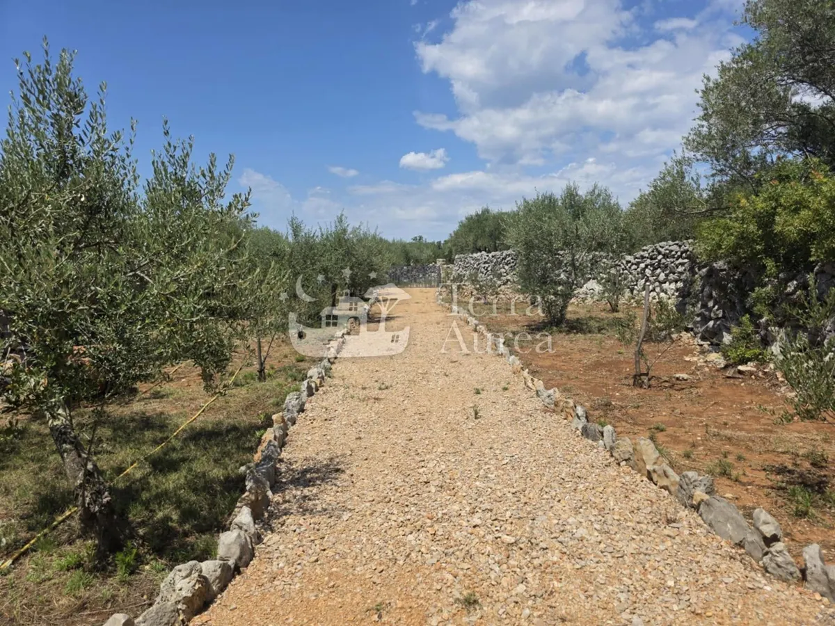Zemljište - Krk, 2500m2