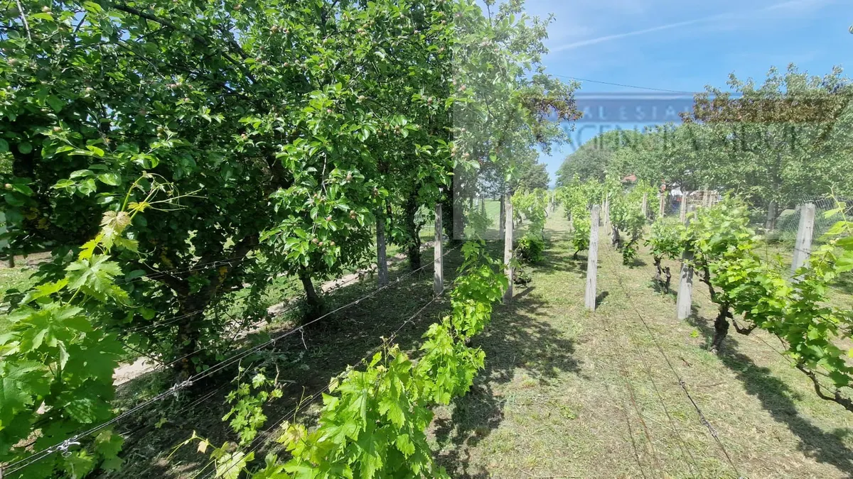 Kuća - Draž, 35m2