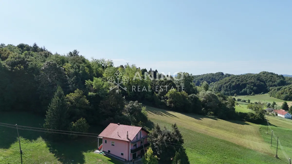 Kuća - Desinić, 200m2