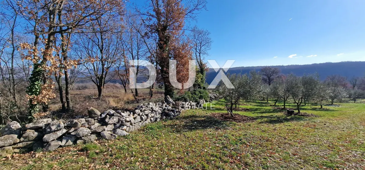 Zemljište - Labin, 22440m2