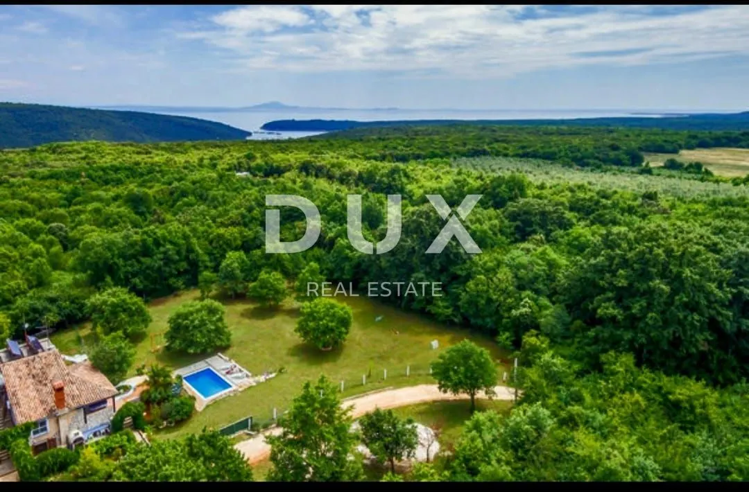 Kuća - Ližnjan, 530m2