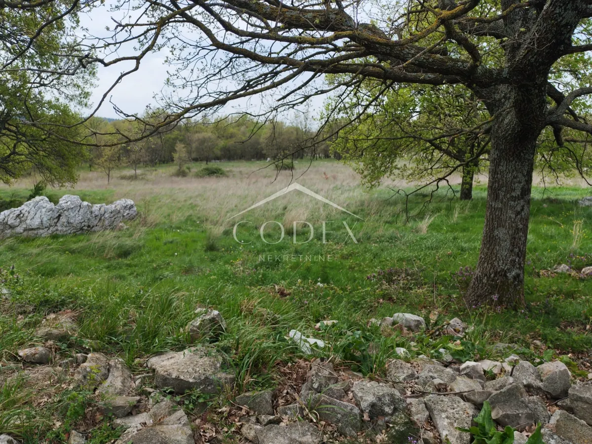 Zemljište - Labin, 11279m2