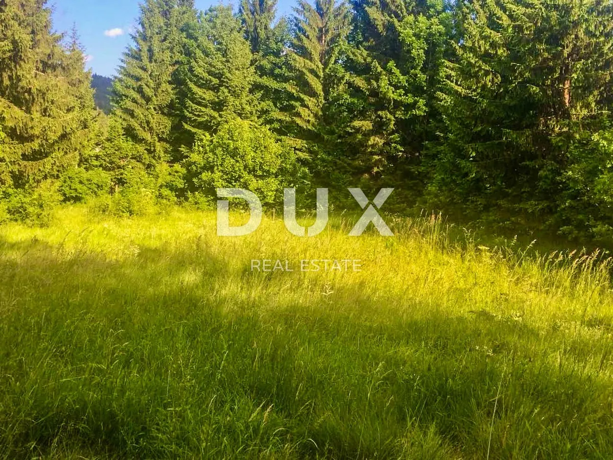 Zemljište - Delnice, 2550m2