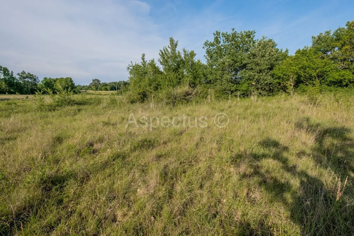 Land - Vrsar, 8739m2