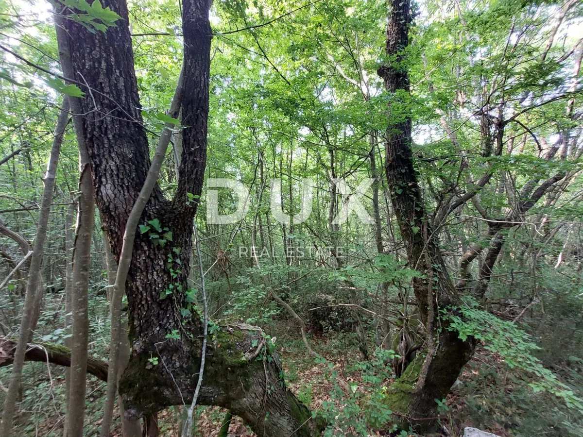 Zemljište - Labin, 13056m2
