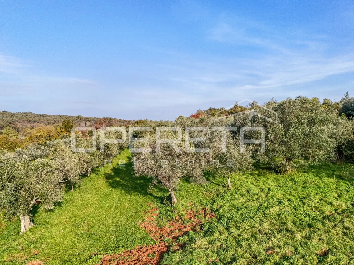 Zemljište - Buroli, Umag, Umag, 683m2