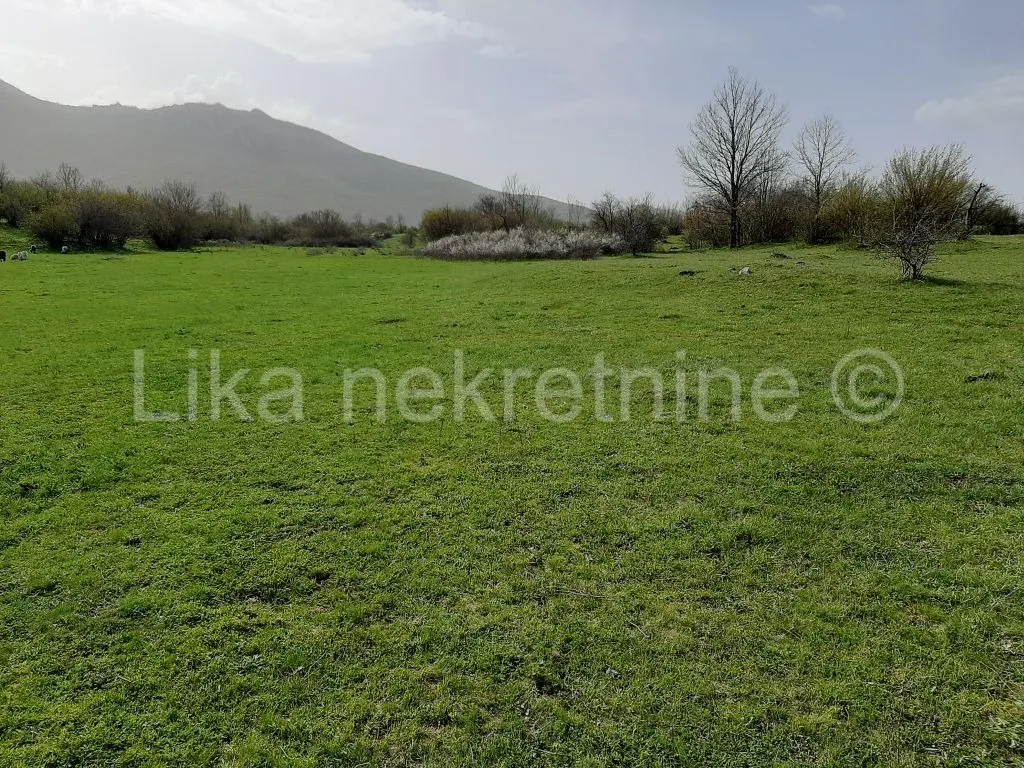 Kuća - Udbina, 250m2