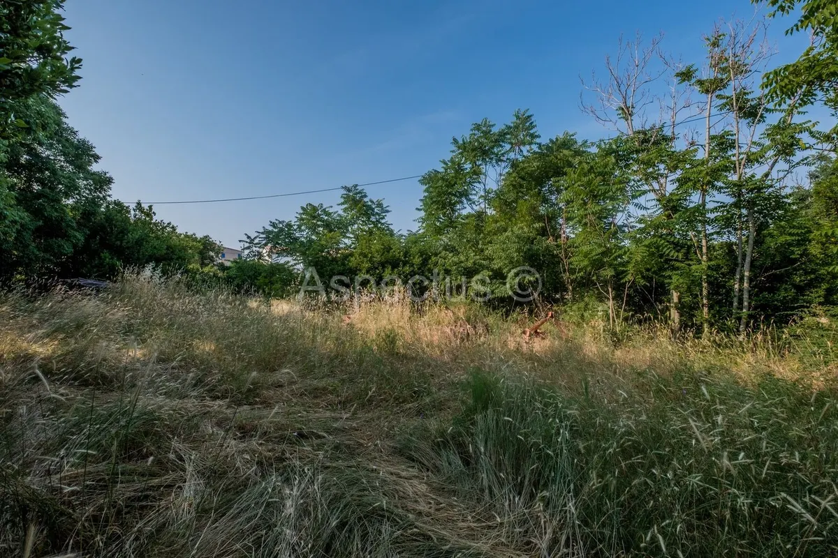 Land - Vodnjan, 3004m2