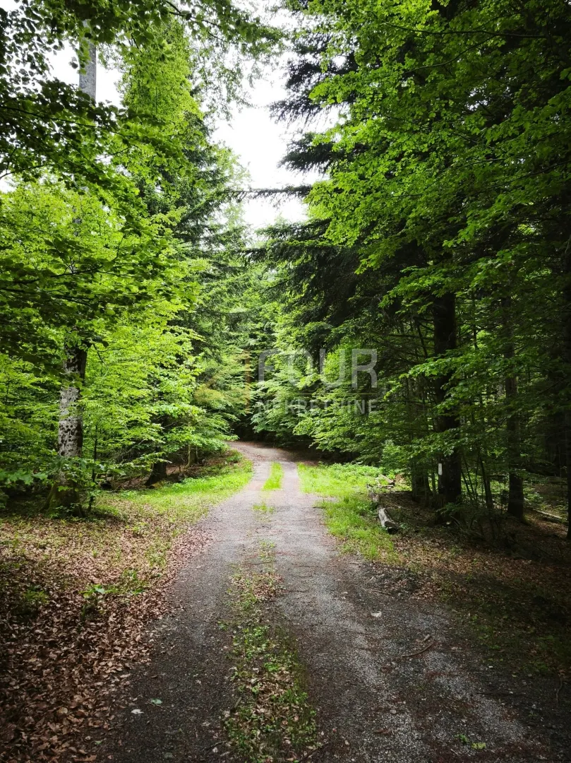 Zemljište - Vrbovsko, 13488m2