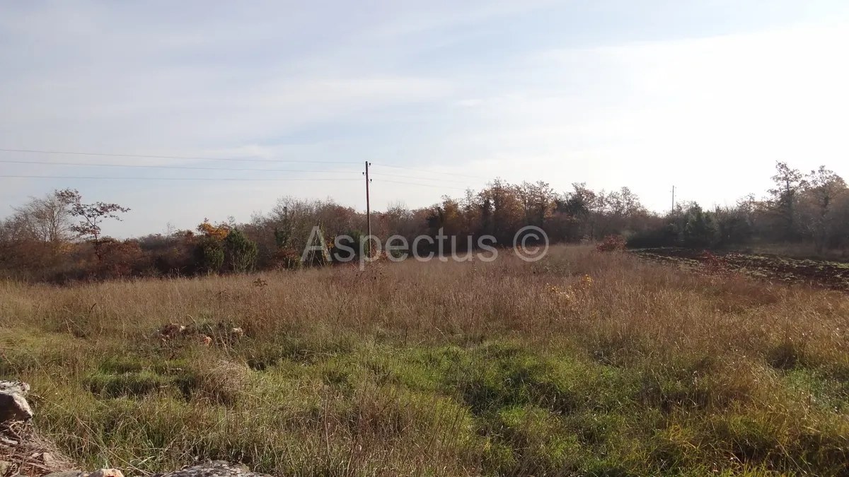 Land - Svetvinčenat, 2400m2
