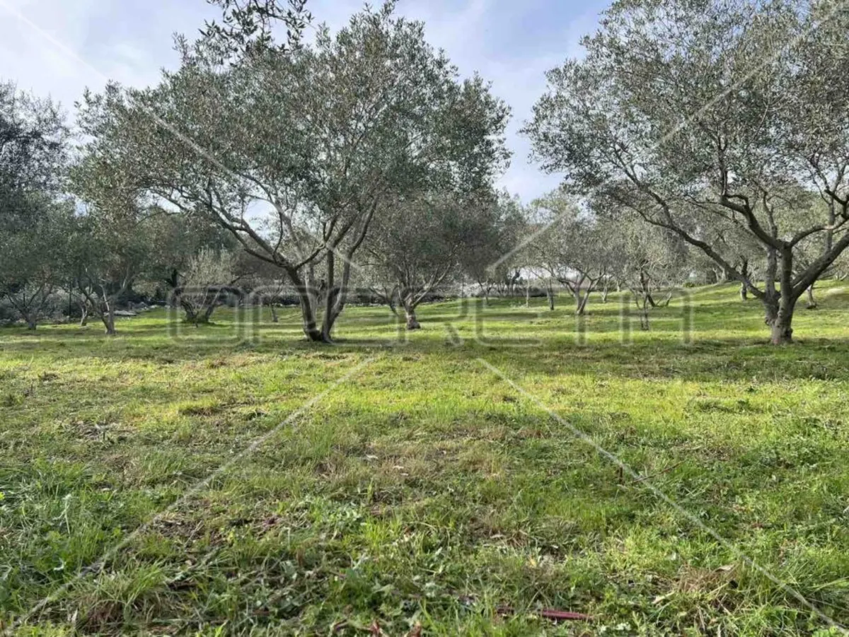 Zemljište - Punta Križa, Mali Lošinj, Mali Lošinj, 4260m2