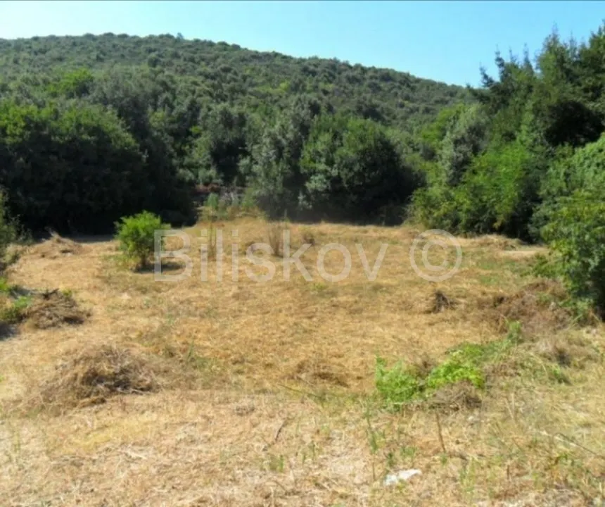 Zemljište - Janjina, 827m2