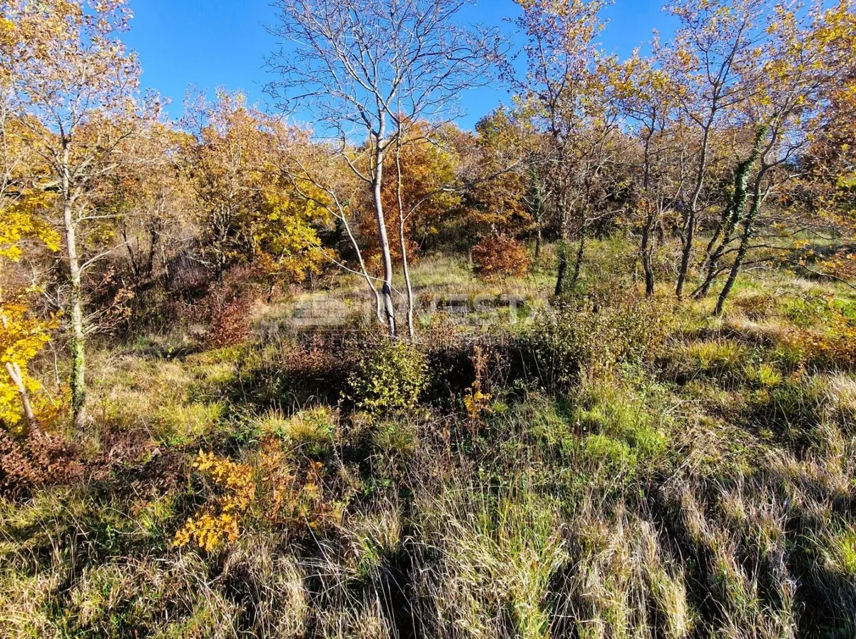 Zemljište - Svetvinčenat, 2248m2