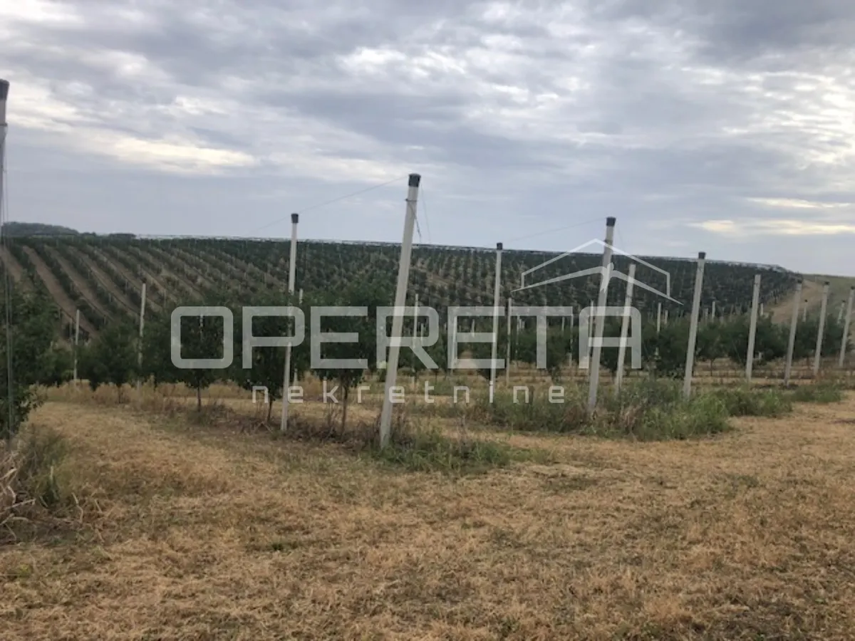 Zemljište - Banska Kosa, Beli Manastir, Beli Manastir, 229476m2