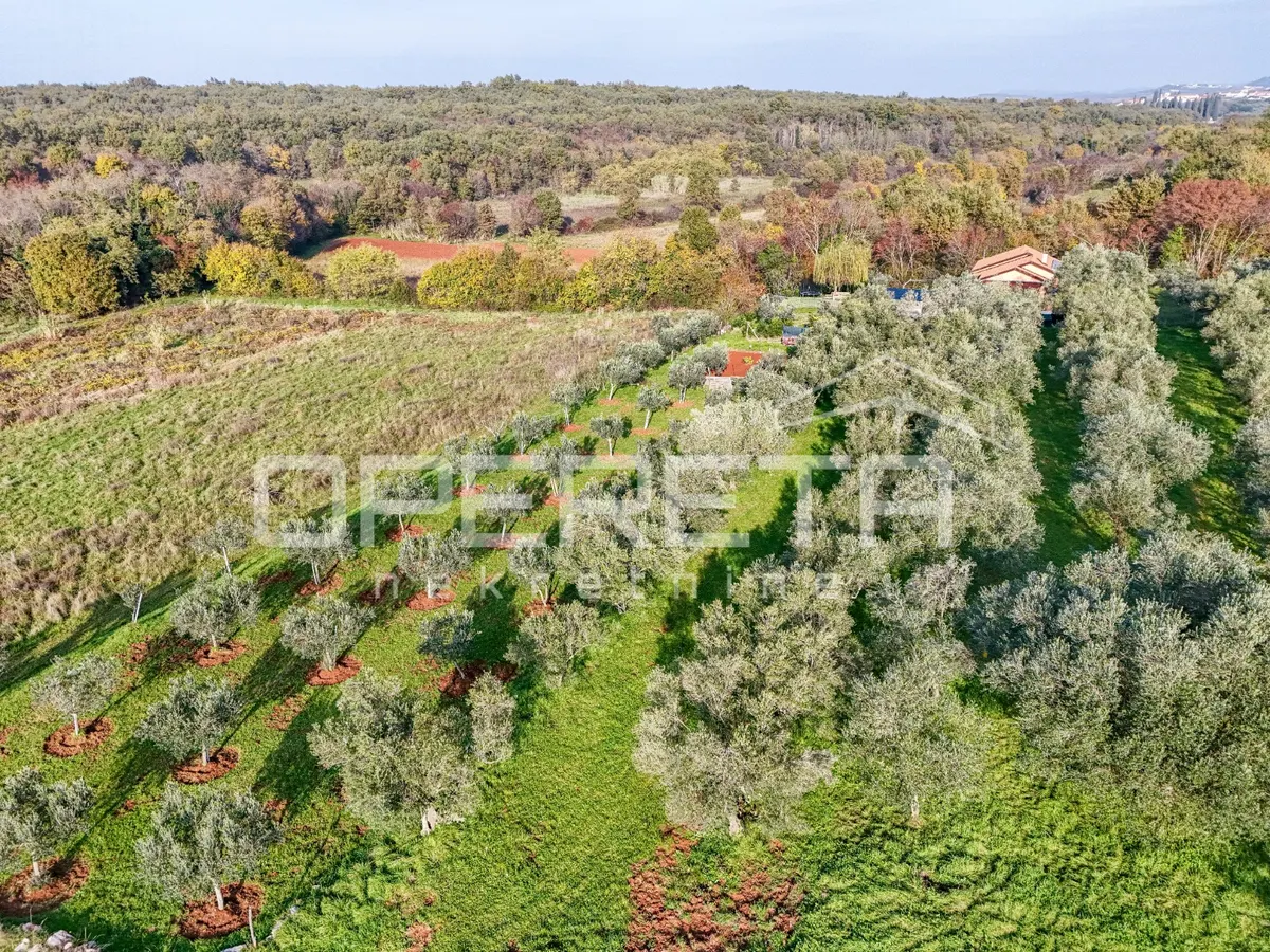 Zemljište - Buroli, Umag, Umag, 683m2