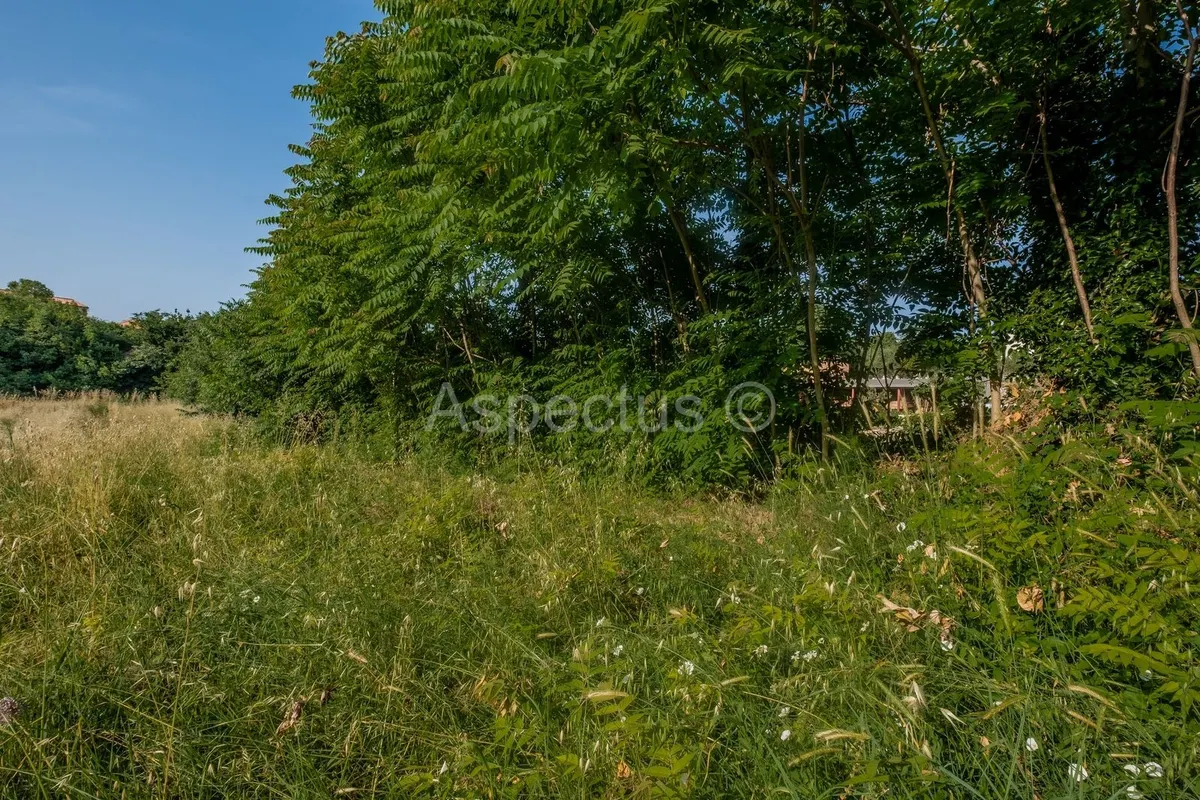 Land - Vodnjan, 3004m2