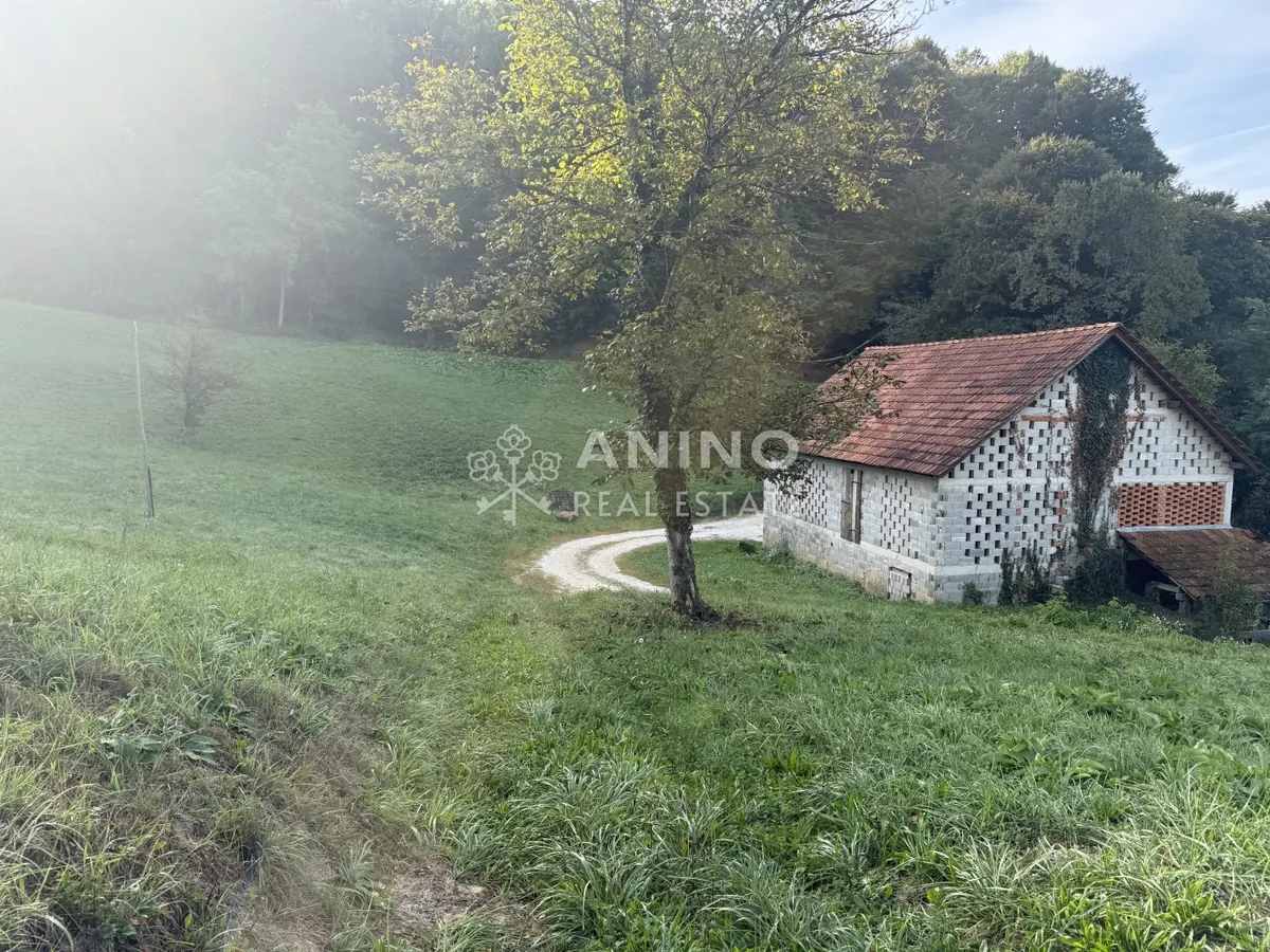 House - Desinić, 150m2