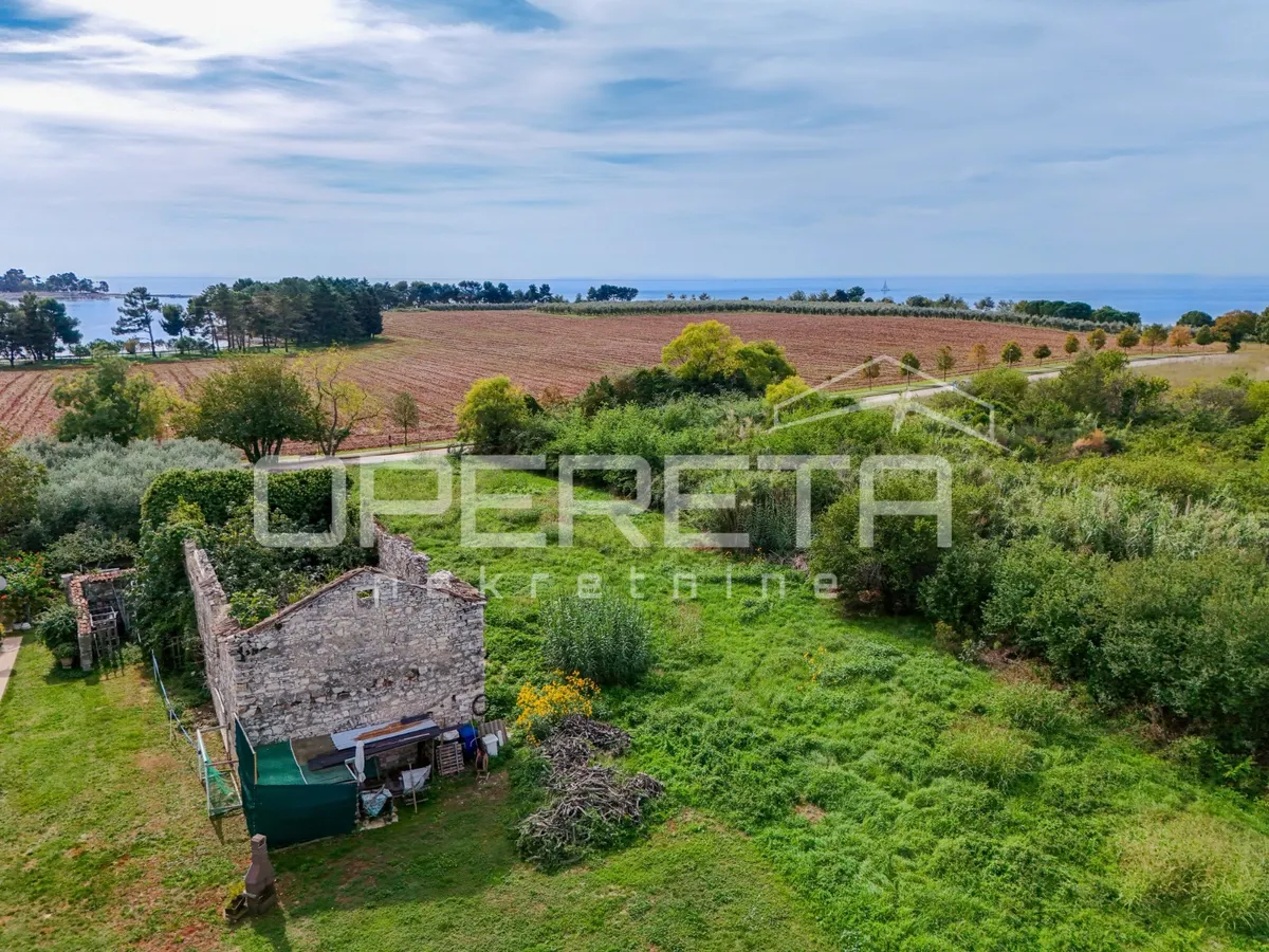 Land - Novigrad, Novigrad, Novigrad, 5803m2