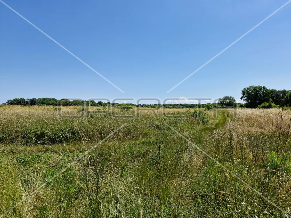 Zemljište - Šišan, Šišan, Šišan, 1250m2