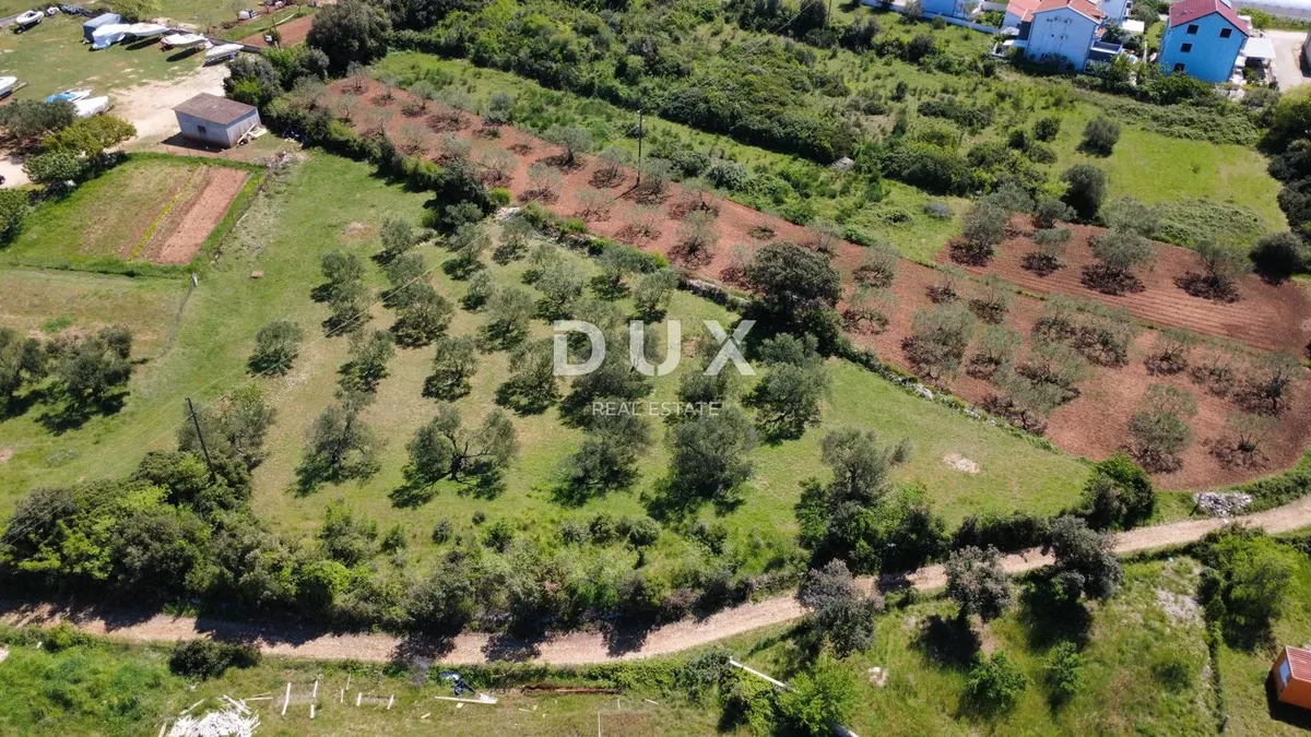 Zemljište - Sveti Filip I Jakov, 3000m2