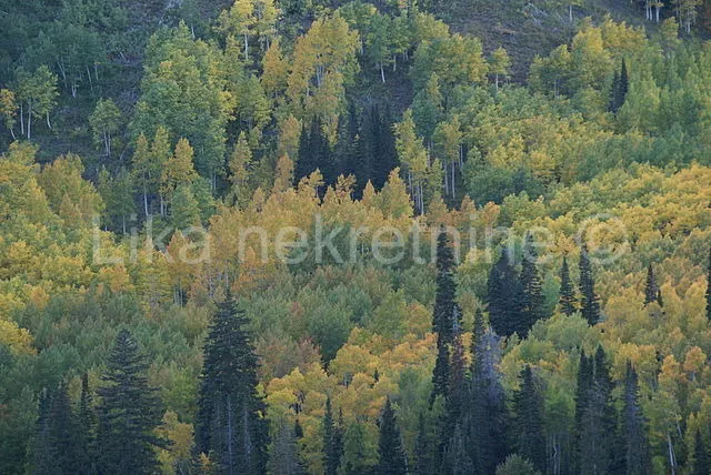 Land - Plitvička jezera, 3377m2