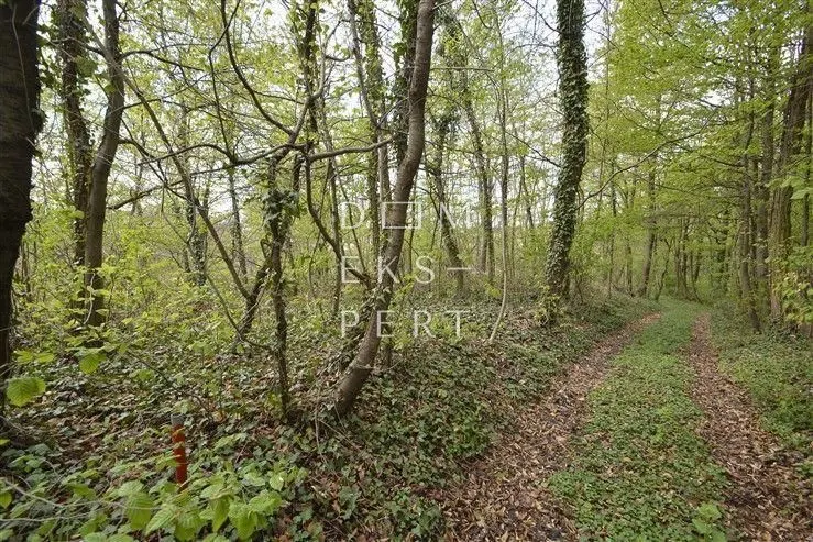 Zemljište - Gornja Dubrava, 920m2