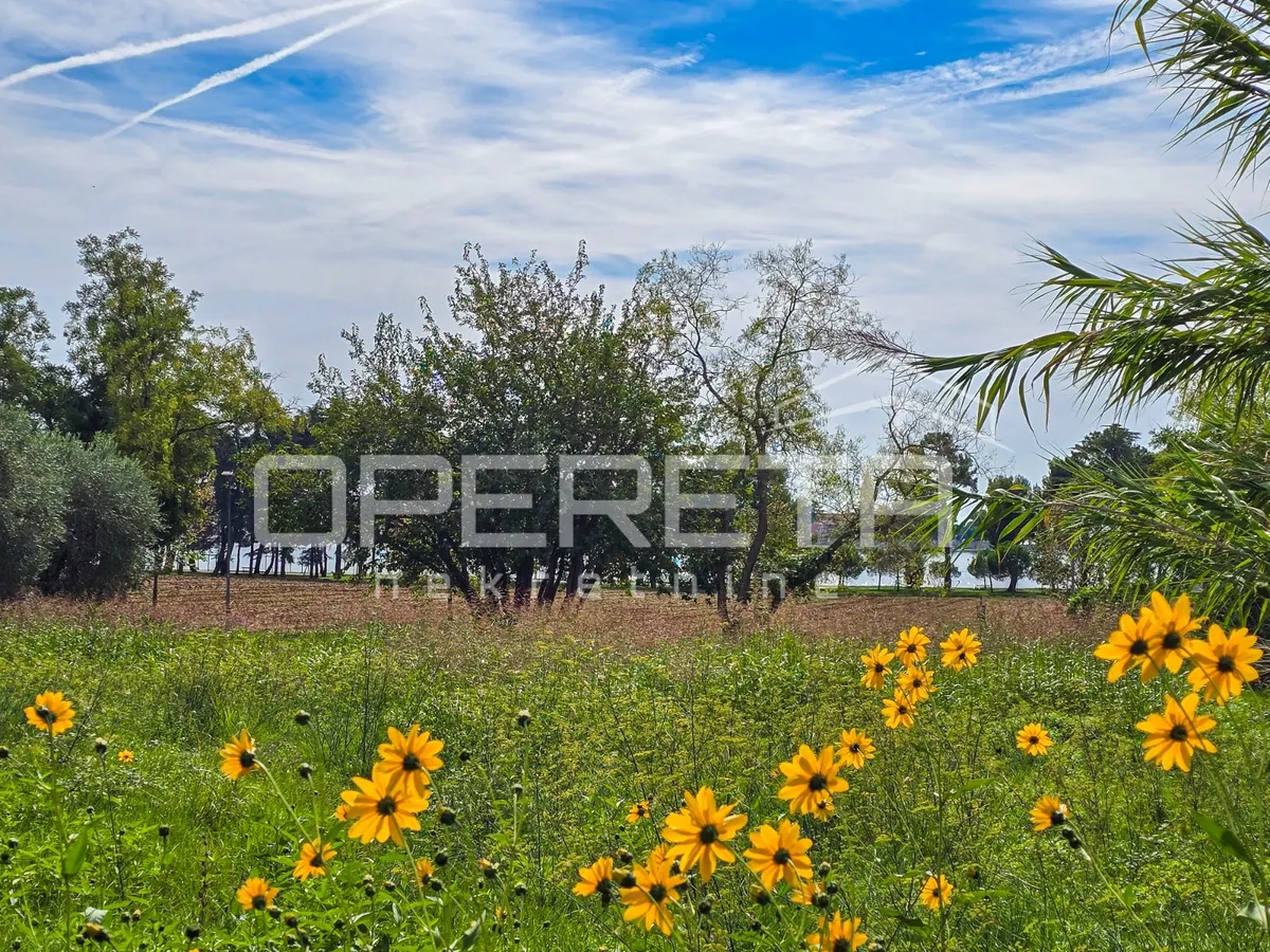 Land - Novigrad, Novigrad, Novigrad, 5803m2