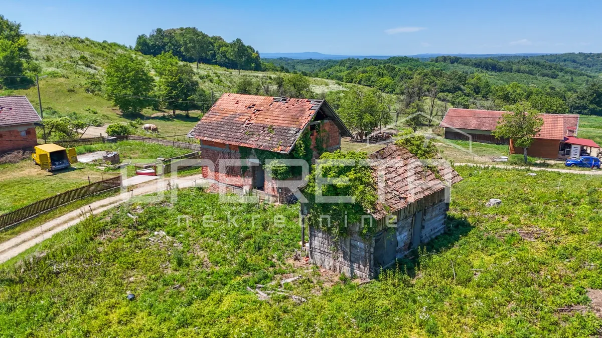 Kuća - Luščani, Petrinja, Petrinja, 250m2