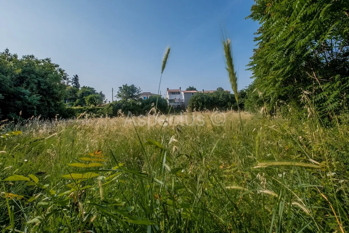 Land - Vodnjan, 3004m2