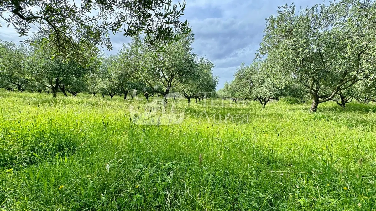 Kuća - Krk, 64m2