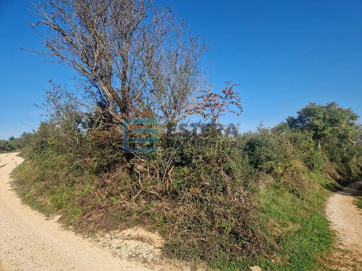 Zemljište - Sveti Filip i Jakov, 2935m2