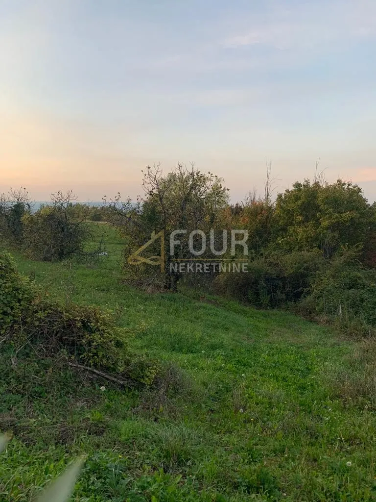 Zemljište - Pazin - Okolica, 45000m2